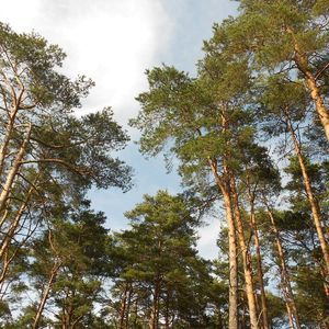 Meet your Posher, Izabela